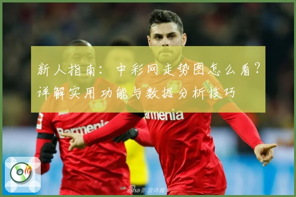 新人指南：中彩网走势图怎么看？详解实用功能与数据分析技巧