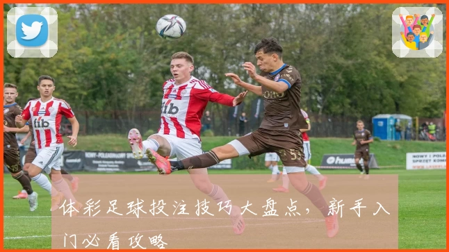 体彩足球投注技巧大盘点，新手入门必看攻略