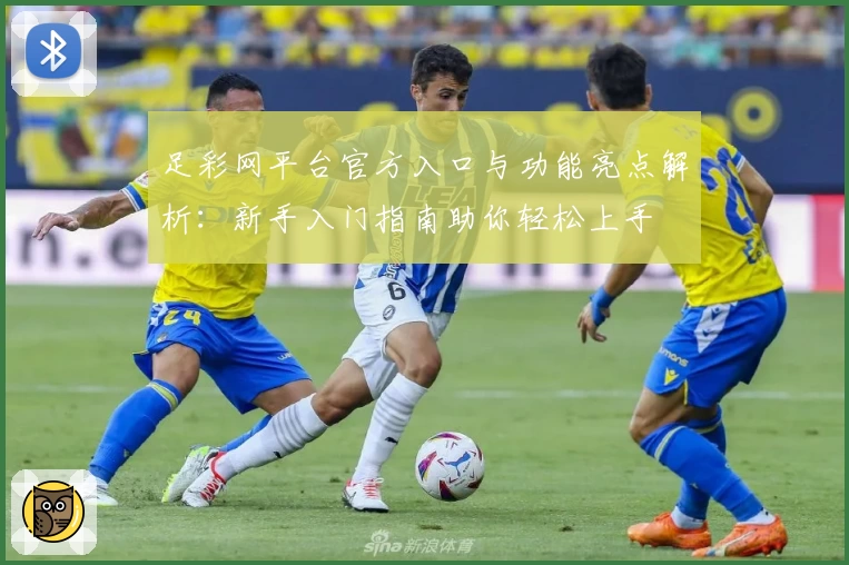 足彩网平台官方入口与功能亮点解析:新手入门指南助你轻松上手